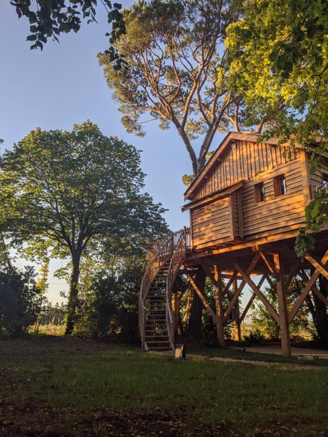 Chateau Des Fousseries Condom Exterior photo